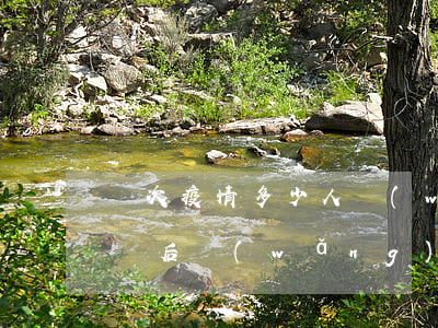 這次疫情多少人網(wǎng)貸逾期(疫情過后網(wǎng)貸逾期率暴漲)