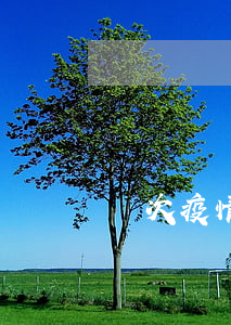 這次疫情逾期