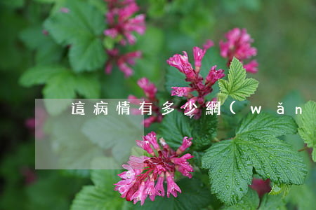 這病情有多少網(wǎng)貸逾期的