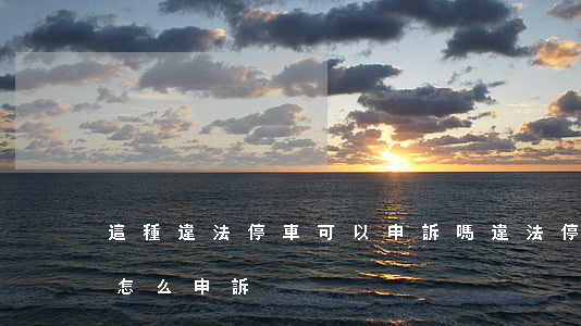 這種違法停車可以申訴嗎(違法停車車上有人怎么申訴?)