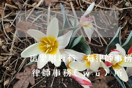 這里附近有沒有律師事務(wù)所(附近的律師事務(wù)所)