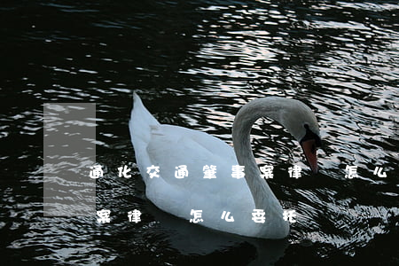 通化交通肇事案律師怎么委托(通化交通肇事案律師怎么委托)