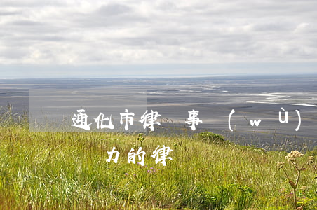 通化市律師事務(wù)所排名(吉林通化最實力的律師)
