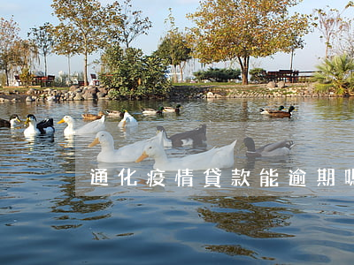 通化疫情貸款能逾期嗎
