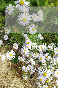 通州勞動(dòng)糾紛(通州勞動(dòng)局)
