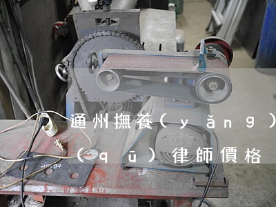 通州撫養(yǎng)糾紛律師報價(通州區(qū)律師價格)