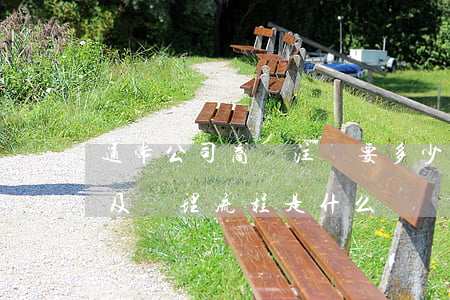 通常公司商標注冊要多少錢（注冊商標的途徑及辦理流程是什么）