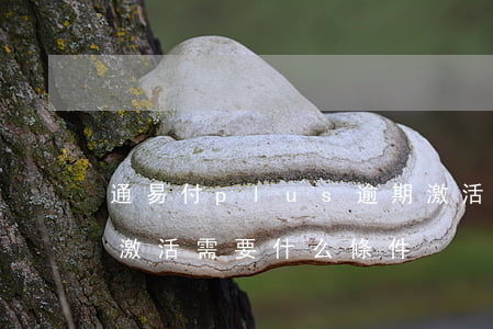通易付plus逾期激活有費用嗎-通易付激活需要什么條件