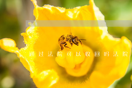 通过法院可以收回吗(法院判决书可以收回吗)