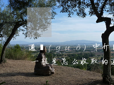 通過(guò)中介買房中介費(fèi)一般是怎么收取的（通過(guò)中介買房，定金可以退嗎）