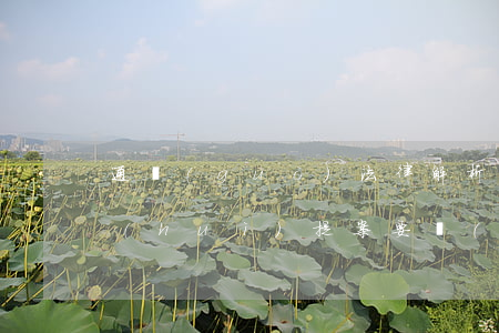 通過(guò)法律解析上市公司股東大會(huì)提案要點(diǎn)