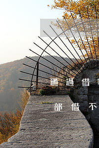 通過借唄逾期沒還會怎樣(借唄沒逾期突然全部借不了)