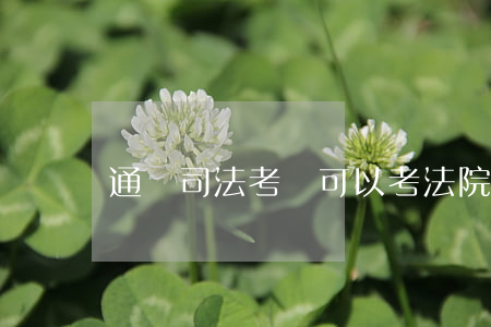 通過司法考試可以考法院嗎(司法考試都能考嗎)