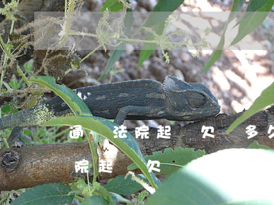 通過法院起訴欠錢多久錢能還回來-通過法院起訴欠錢多久錢能還回來呢