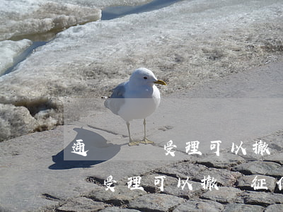通過異議受理可以撤銷征信逾期嗎-通過異議受理可以撤銷征信逾期嗎怎么辦