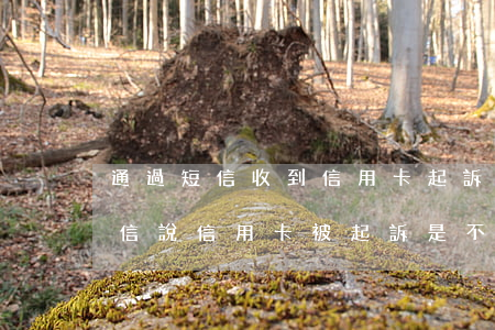 通過短信收到信用卡起訴是真是假-接到短信說信用卡被起訴是不是真的