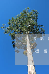 通過訴訟可以打贏官司嗎(打官司對方上訴贏的機會有多少)