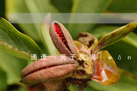 通遼一男子欠網(wǎng)貸