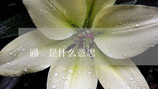 通鋪是什么意思