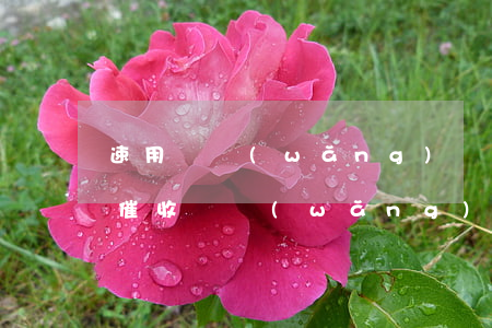 速用錢網(wǎng)貸會(huì)上門催收嗎(網(wǎng)絡(luò)貸款會(huì)上門催收嗎)