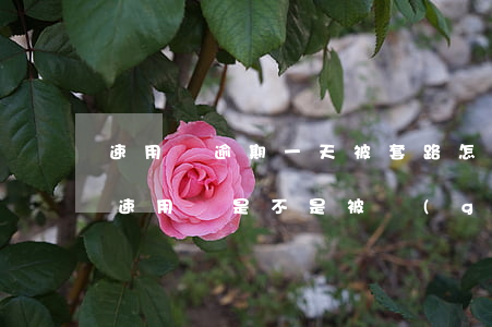 速用錢逾期一天被套路怎么恢復(fù)-速用錢是不是被關(guān)閉了