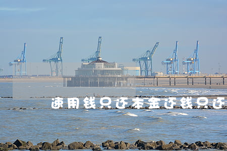 速用钱只还本金(还钱只还本金)