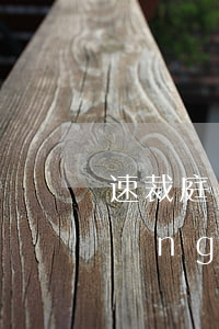 速裁庭網(wǎng)貸起訴(速裁庭網(wǎng)貸起訴)
