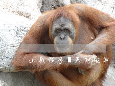 速裁程序幾天能宣判