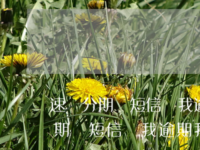 速貸分期發短信說我逾期我沒借過-速貸分期發短信說我逾期我沒借過錢