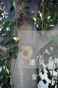 速貸逾期不還會怎樣網(wǎng)-速貸金融說我逾期了