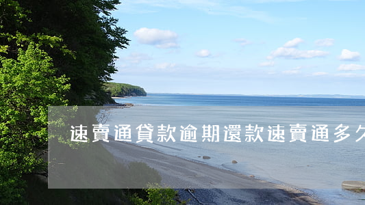 速賣通貸款逾期還款(速賣通多久放款)