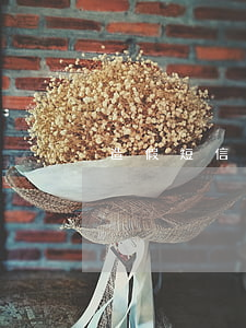造假短信生成器(短信偽造器)