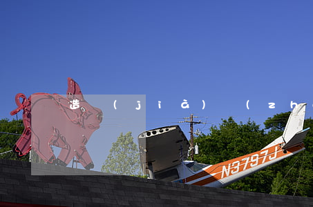 造價(jià)轉(zhuǎn)正申請書
