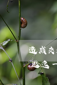 造成交通事故逃逸吊銷幾年駕駛證(交通事故逃逸一定吊銷駕照)