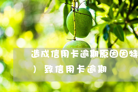 造成信用卡逾期原因(因特殊情況導(dǎo)致信用卡逾期)