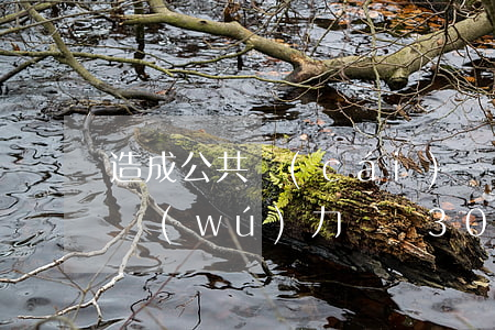 造成公共財(cái)產(chǎn)損失無(wú)力償還30萬(wàn)-造成公共財(cái)產(chǎn)損失無(wú)力償還30萬(wàn)元