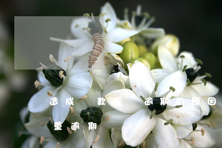 造成貸款客戶逾期的原因(貸款嚴(yán)重逾期)