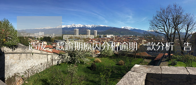 造成貸款逾期原因分析(逾期貸款分析報告)