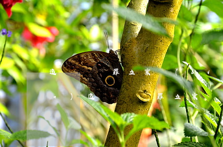 造謠誹謗罪立案標(biāo)準(zhǔn)(造謠誹謗罪立案標(biāo)準(zhǔn) 公安不立案)