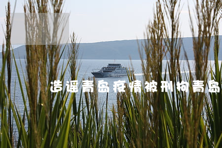 造谣青岛疫情被刑拘(青岛有疫情了吗)