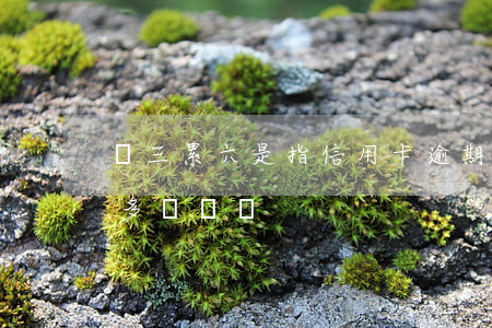 連三累六是指信用卡逾期嗎(連三累六逾期是多長時間)
