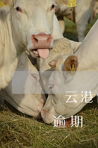 連云港信托公司（連云港連云區(qū)信托逾期）