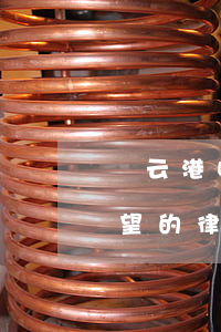 連云港哪個(gè)律師有名(連云港最有名望的律師)