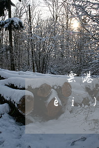 連云港夫妻債務(wù)糾紛律師免費(fèi)咨詢-連云港婚姻財(cái)產(chǎn)律師