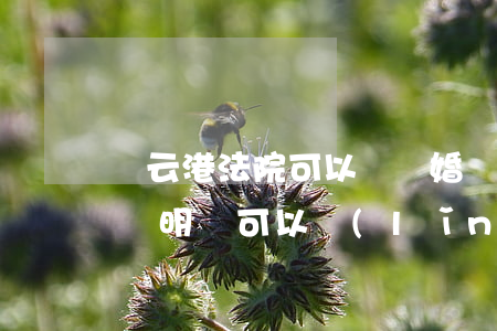 連云港法院可以開離婚證明嗎(法院開的離婚證明書可以領(lǐng)結(jié)婚證嗎)