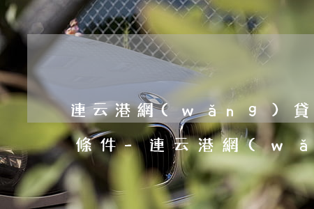 連云港網(wǎng)貸逾期停息掛賬申請條件-連云港網(wǎng)貸逾期停息掛賬申請條件是什么