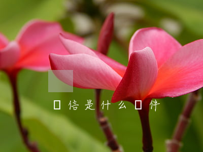 連信是什么軟件