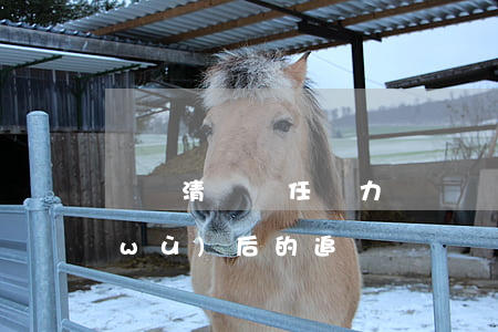 連帶清償責任無力償還 連帶責任清償債務(wù)后的追償