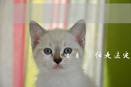 連帶責(zé)任是法定的嗎