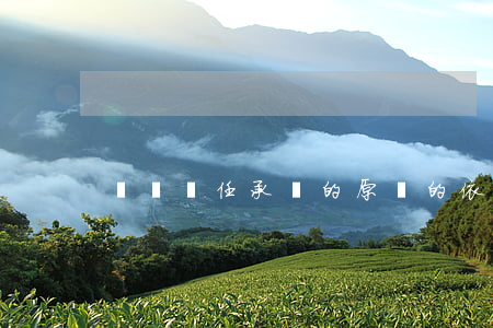 連帶責任承擔的原則的依據(jù)是什么